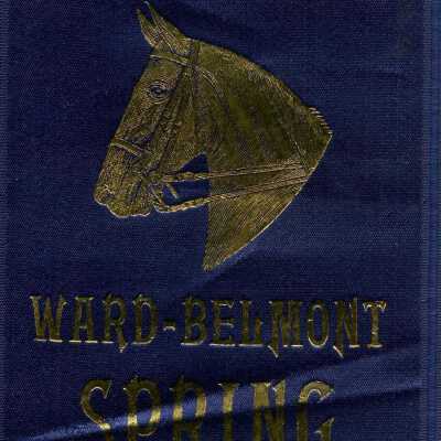 Ribbon, Prize