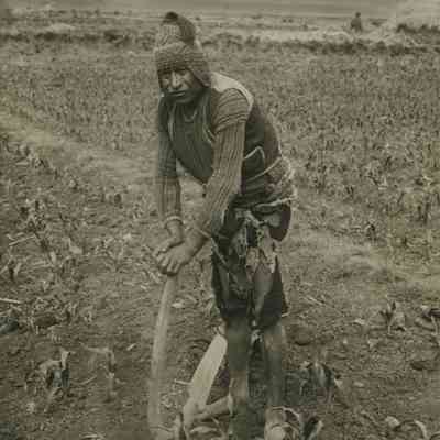 Campesino with Wool Hat