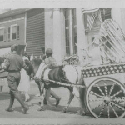 Decorated Horse and Cart
