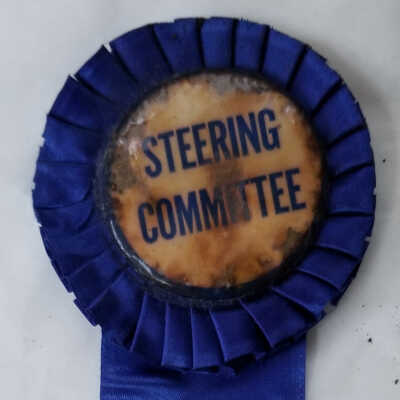 250th Anniversary Steering Committee ribbon