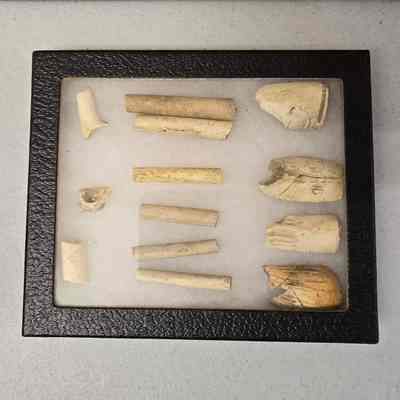 Clay Pipe Stems and Bowls