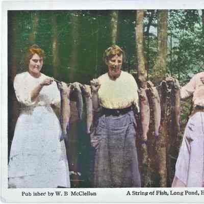 A String of Fish, Long Pond, Harrisville, N.H.