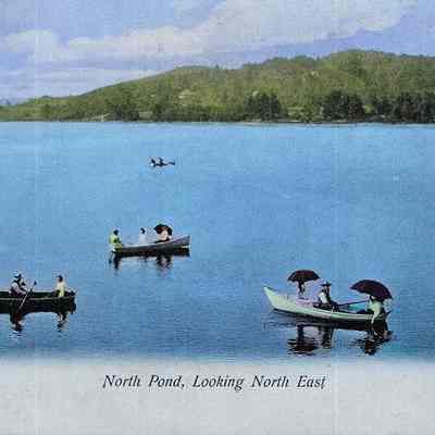 North Pond, Looking North East