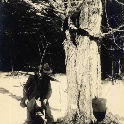 Maple Sugaring