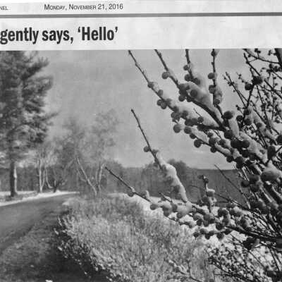 Winter gently says, 'Hello"