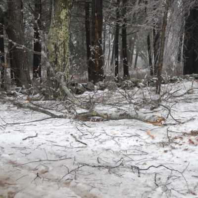 Ice Storm 2008