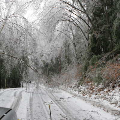 Ice Storm December 12, 2008