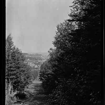 Grand Manan - 51 | Original ID: IV 45, "North Head fr Money Cove Road"