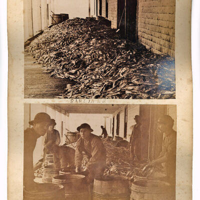 Loring, page 95