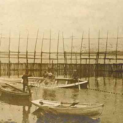 Weir