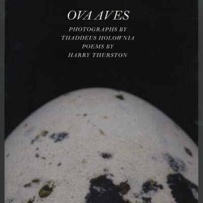 Ova aves: Photographs by Thaddeus Holownia, Poems by Harry Thurston