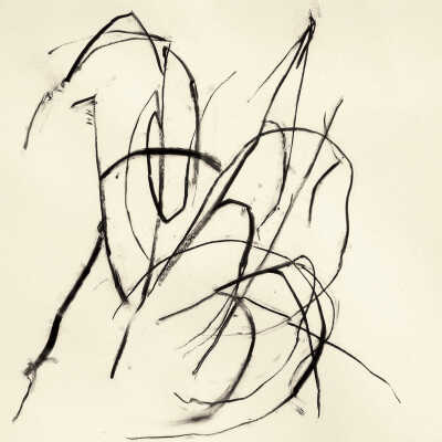 February 17, 2006 #1 - Winter Grass | Susan Hartnett