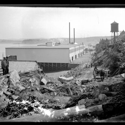 Lubec Glass Plate Negative 45