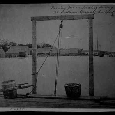 Deming for Unloading Herring at Sardine Cannery, Eastport, Miane