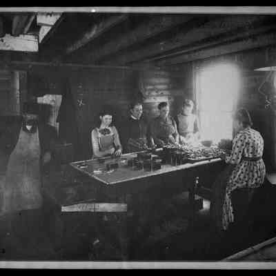 Packing Sardines | Green Point, Maine