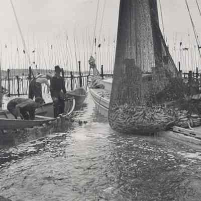 Seining a Weir, Grand Manan, New Brunswick | George Daniell | 1938