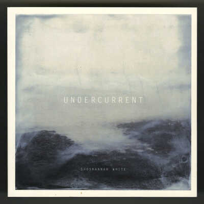 Undercurrent: Works from the Center for Maine Contemporary Art Exhibition, May 24-July 6, 2014 | Shoshannah White