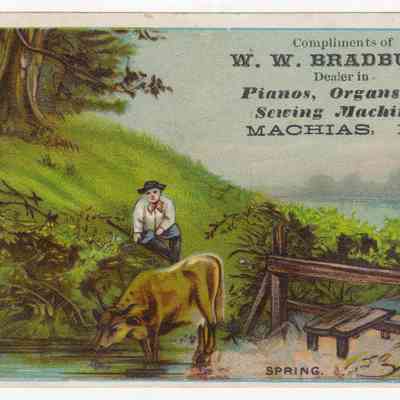 W.W. Bradbury | Machias, Maine | Trade Card