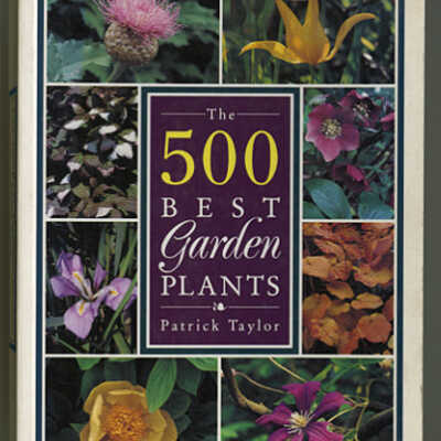 The 500 Best Garden Plants | Patrick Taylor
