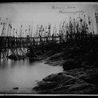 Herring Weir, Passamaquoddy Bay