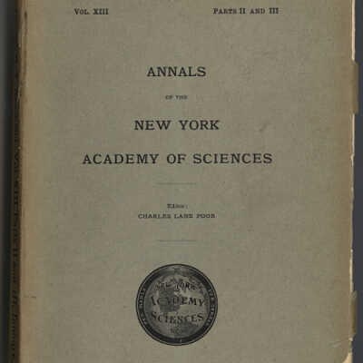 Notes on Passamaquoddy Literature | J. Dynely Prince | Annals of the New York Academy of Sciences, Vol XIII, 1900 - 1901, Parts II and III, pp. 381 - 386