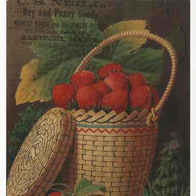 C. S. Neill, Dry and Fancy Goods, Newest Stock and the Lowest Price, Store Under Masonic Hall, Eastport, Maine.