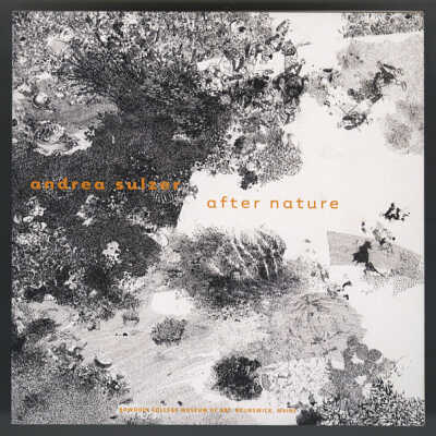 Andrea Sulzer: After Nature | Exhibition Catalogue | June 17 - August 27, 2008 | Bowdoin College Museum of Art, Brunswick, Maine