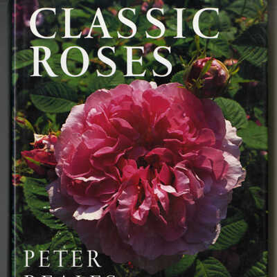 Classic Roses | Peter Beales