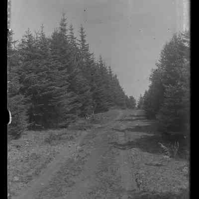 Grand Manan - 71 | Original ID: IV 36, "Road from Dark Harbor"
