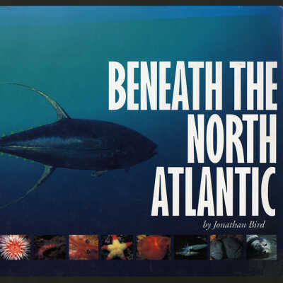 Beneath the North Atlantic | Jonathan Bird