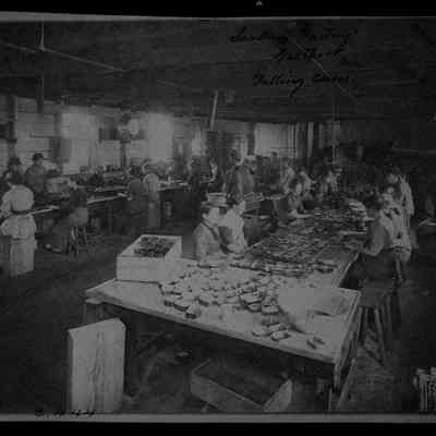 Sardine Factory, Eastport, Maine, Filling Cans