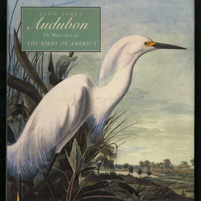 John James Audubon: The Watercolors for The Birds of America | Annette Blaugrund and Theodore E. Stebbins, Jr., Editors