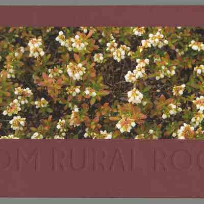 From Rural Roots: Fifty Years of Oxford Frozen Foods | Photographs by Thaddeus Holownia | Essays by Harry Thurston