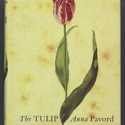 The Tulip: The Story of a Flower that has Made Men Mad | Anna Pavord