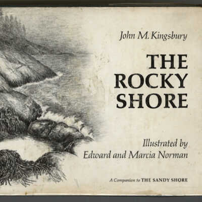 The Rocky Shore | John M. Kingsbury | Illustrated by Edward and Marcia Norman