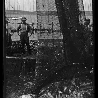 Grand Manan - 10 | Original ID: IV 57, "Seining a Weir"