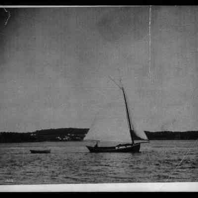 Pinking Sloop, Eastport, Maine