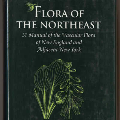 Flora of the Northeast: A Manual of the Vascular Flora of New England and Adjacent New York | Dennis W. Magee and Harry E. Ahles, Drawings by Abigail Rorer