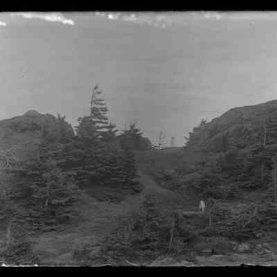 Grand Manan - 75 | Original ID: IV 6, "Swallow Tail Light from path"