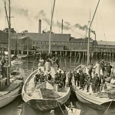 Sardine Carriers | Eastport, Maine