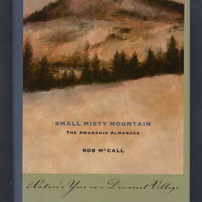 Small Misty Mountain: The Awanadjo Almanack | Rob McCall