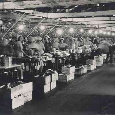 Connors Brothers Sardine Factory Packing Room | Blacks Harbour, New Brunswick