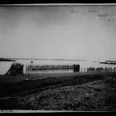 Herring Weir, Eastport, Maine