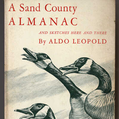 A Sand County Almanac and Sketches Here and There | Aldo Leopold