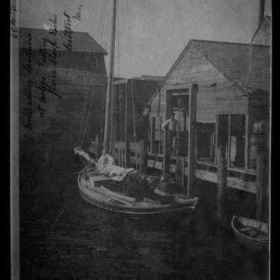 Unloading Sardines at Wolff's Factory from Sloop Boat, Eastport, Maine