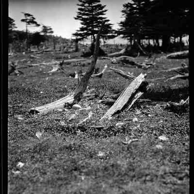Grand Manan - 21 | Original ID: