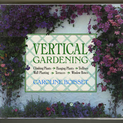 Vertical Gardening | Caroline Boisset