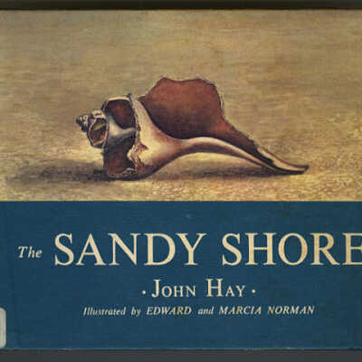 The Sandy Shore | John Hay | Illustrated by Edward and Marcia Norman