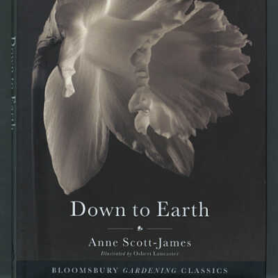 Down to Earth | Anne Scott-James | Bloomsbury Gardening Classics