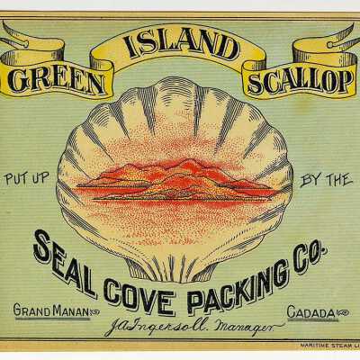 Victory Brand, Green Island Scallop, Seal Cove Packing Company, Grand Manan, Canada